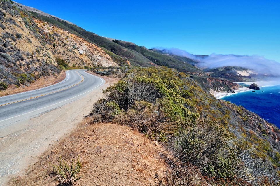 Big Sur: Sightseeing Tour With 4 to 5 Stops - Tour Highlights