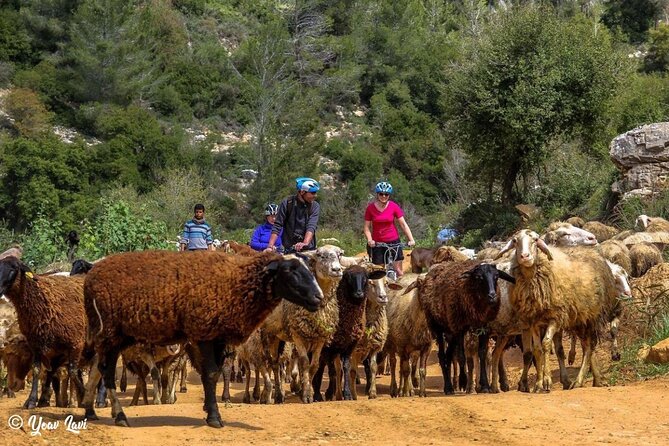 Bike the Holy Land With Yoav Lavi, Bike Guide for All Levels and a Photographer - Tour Details