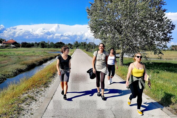 Bike Tour With Honey and Artichokes on Sant'erasmo Island - Discovering Sandbank Honey