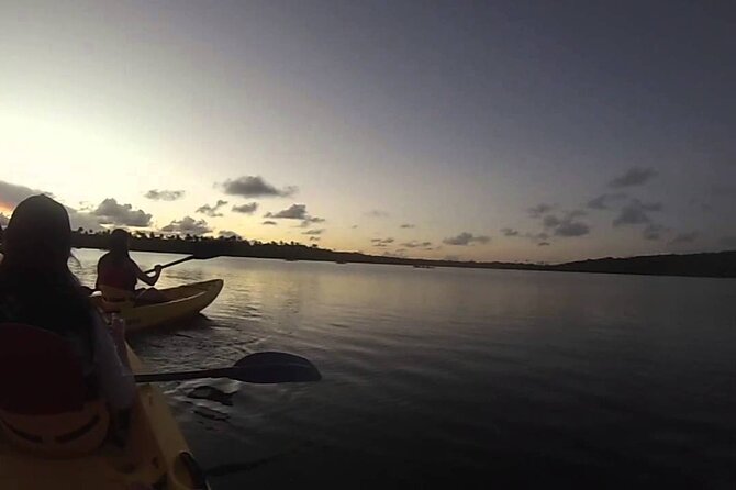 Bioluminescent Bay Night Kayak Experience - Medical Considerations