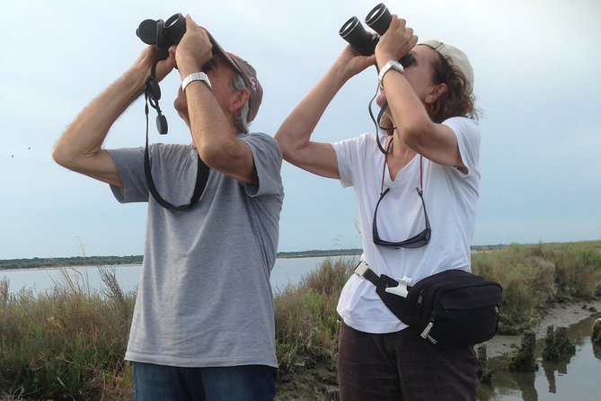 Birdwatching by Boat in a Small Group in the Pialassa Baiona - Included Equipment and Refreshments