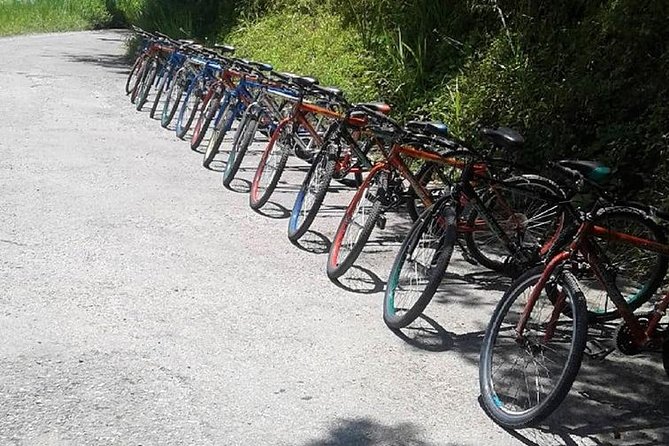 Blue Mountain Bicycle Tour From Montego Bay - Booking Information