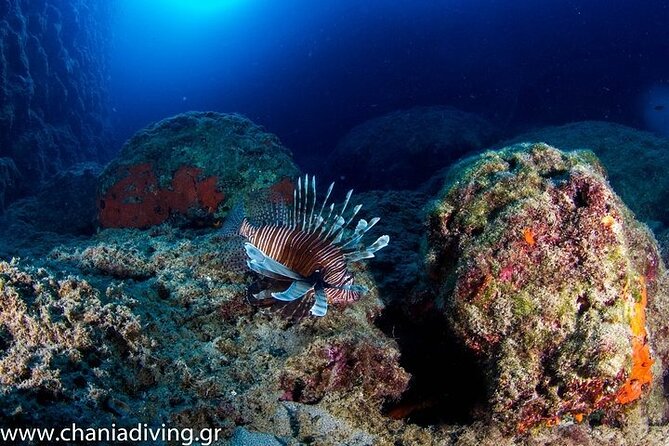 Boat Trip With Scuba and Snorkeling in Chania - Boat Journey and Destinations