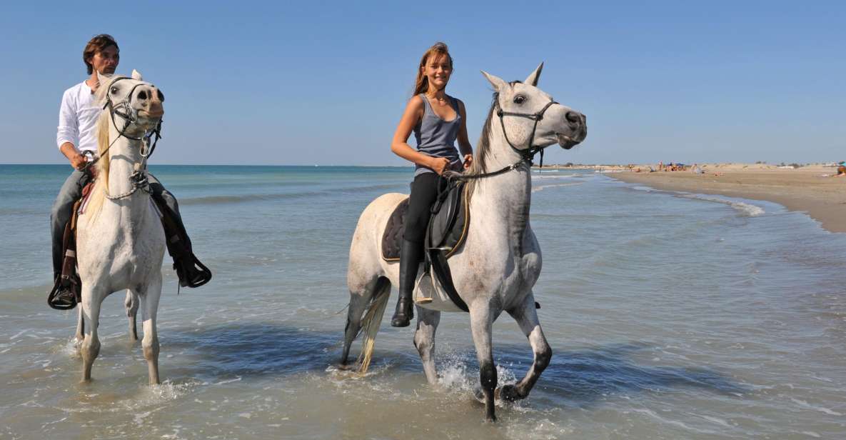 Bodrum: Horseback Riding Experience - Horses and Riding Equipment