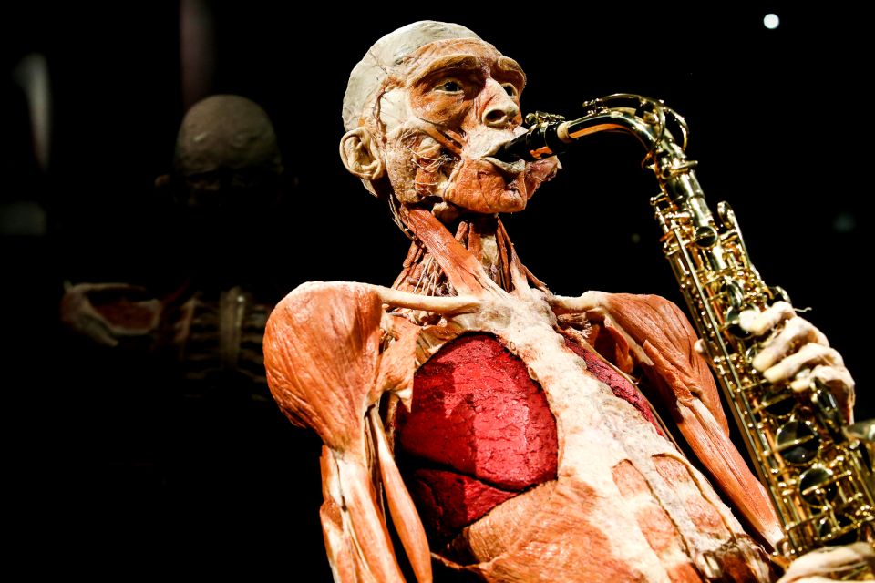 Body Worlds Amsterdam: The Happiness Project Ticket - Anatomical Specimens and Displays