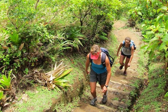 Boiling Lake Challenge - The Ascent to Morne Nicholls