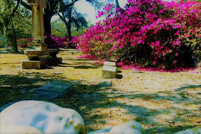 Bonaventure Cemetery Is Forever Tour - Cancellation and Booking Information