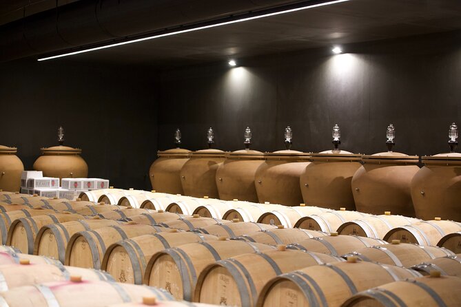 Bordeaux: Full Day Wine Tastings & Gourmet Lunch - Gourmet Lunch Offerings