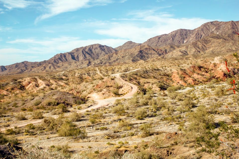 Box Canyon and Pinal Mountains Half-Day ATV Tour - Age and Ability Requirements