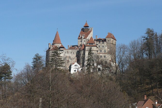 Bran Castle With Optional Bear Sanctuary From Brasov - Accessibility and Participation