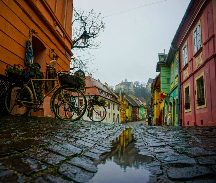 Brasov: Private Guided Day Trip to Sighisoara and Viscri - Viscri Highlights