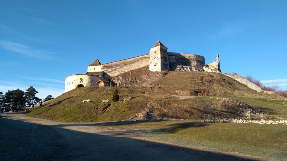 Brown Bear Sanctuary, Bran Castle & Rasnov Fortress Day Tour - Highlights