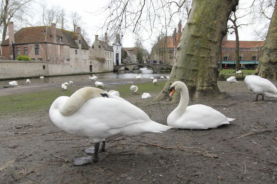 Bruges: Private Interactive Trivia City Tour - Interactive Quiz Walk