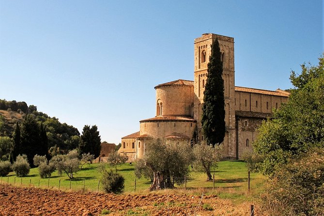 Brunello and Nobile, Wine Lover Tour Montalcino and Montepulciano - Knowledgeable Private Guide