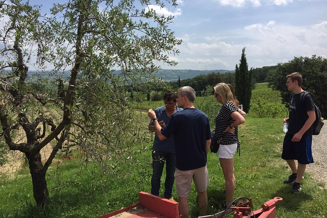 Brunello Di Montalcino, Small Biodynamic Wineries - Transport and Meeting Details