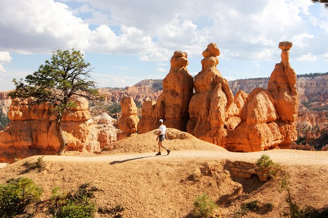 Bryce Canyon & Zion National Parks From Vegas, Lunch, Free Wifi - Included Amenities