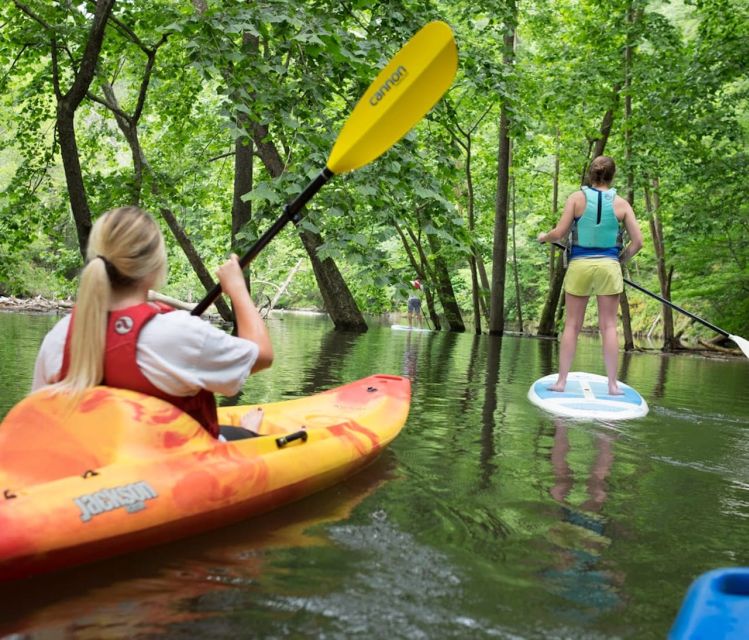 Bryson City: Fontana Lake Guided Kayak Tour - Inclusions and Gear