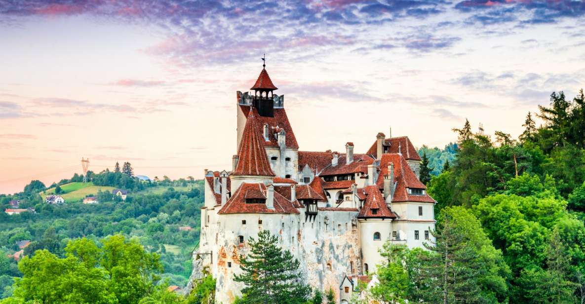 Bucharest: Draculas Castle, Peles Castle, & Brasov Old Town - Transportation and Meeting Points