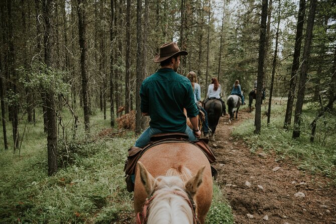 Buffalo Loop 1-Hour Horseback Trail Ride in Kananaskis - Group Size and Pace