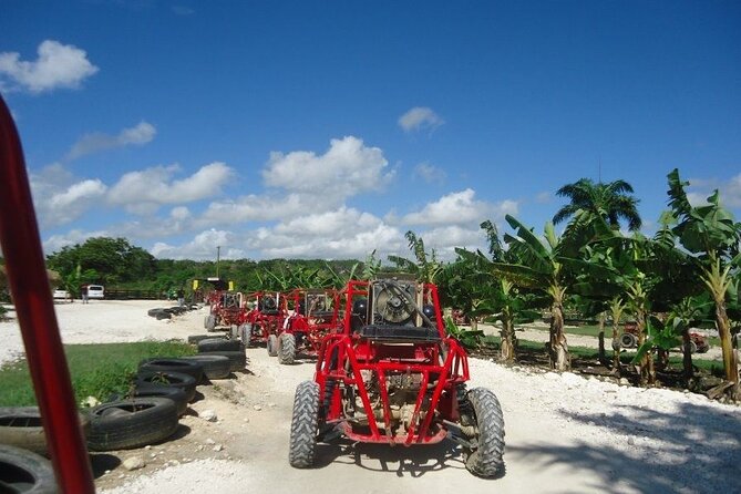 Buggies Half Day Experience and Cenote - Reviews and Feedback