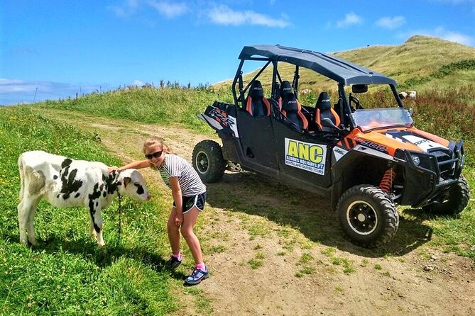 Buggy – Off-Road Excursion W/ Lunch – Coast to Coast (Shared) - Visiting Farms and Terrain