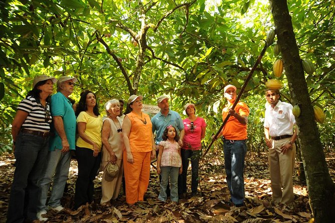 Cacao Plantation and Chocolate Factory Tour- Chocolate Lovers - Logistics