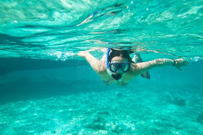 Cades Reef Snorkel Cruise From St. Johns Antigua - Reef Characteristics and Marine Life