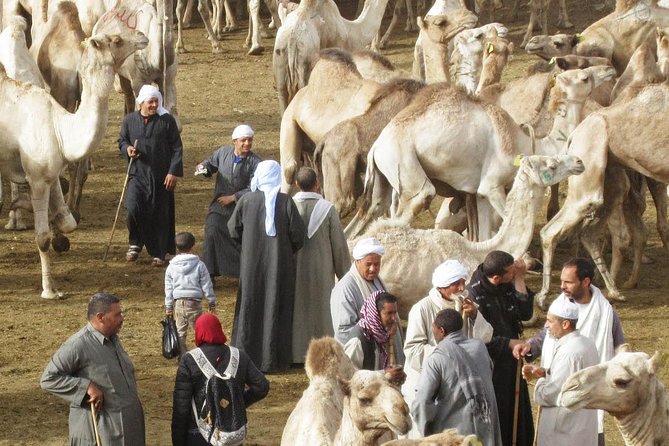 Cairo Unusual Day Tour Visit Camel Market in Birqash - Meeting and Pickup Details