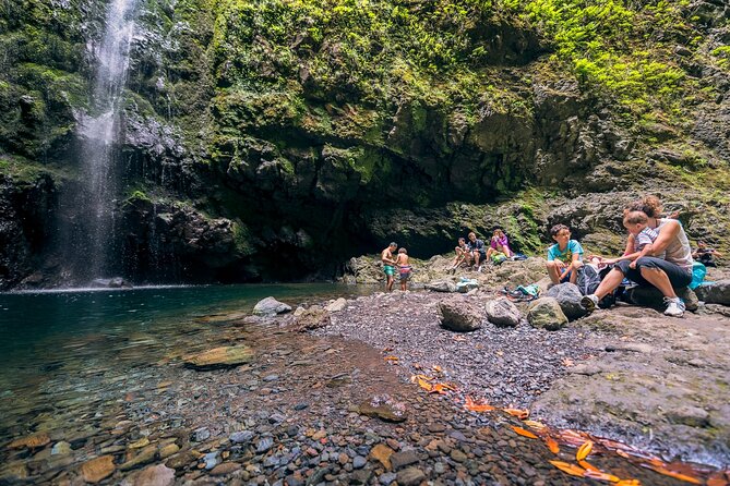 Calderão Verde Levadas Walk in Madeira - Discovering Madeiras National Park and UNESCO Site