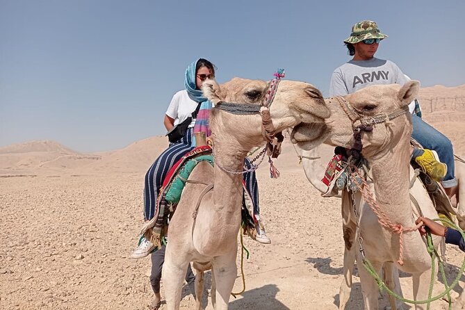 Camel Riding Tour in Luxor West Bank - Booking Confirmation