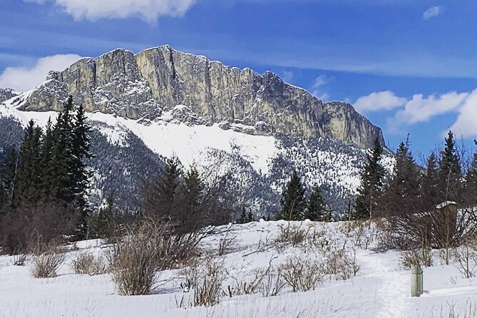 Canmore: Wilderness & Wildlife Walking Tour - 2hrs - Tour Details