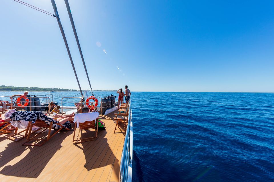 Cannes: Half-Day Catamaran Cruise With Lunch - Activities and Amenities