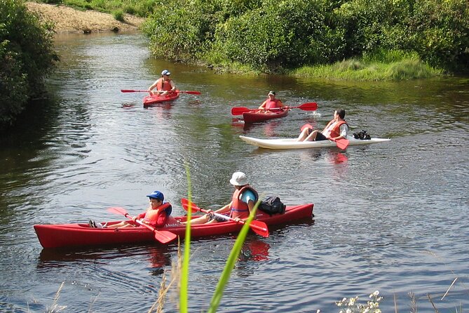 Canoe, Kayak, Paddleboard Rouge River - Self Guided Descent - Participant Requirements