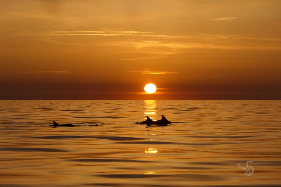 Cape Kamenjak: Guided Kayak Tours Snorkeling, Cave & Cliff - Sunset Experience