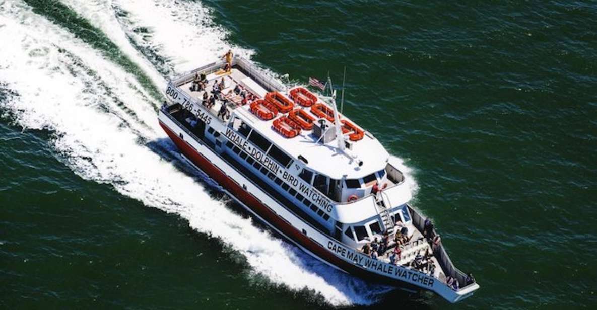 Cape May: Grand Lighthouse Cruise - Complimentary Breakfast and Lunch