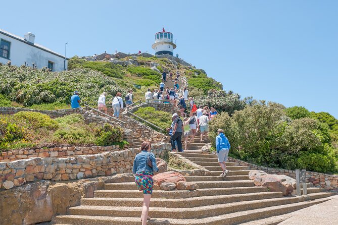 Cape of Good Hope and Penguins Full Day Small Group Tour From Cape Town - Accessibility and Group Size