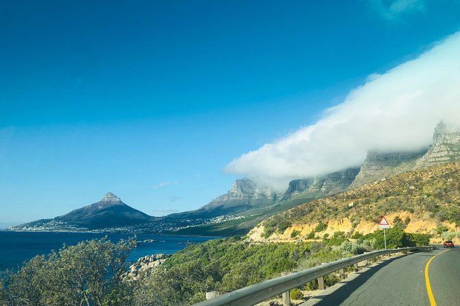 Cape Point Penguin Tour - Penguin Colony Visit