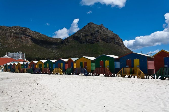 Cape Point Sightseeing Tour Including Penguins at Boulders Beach From Cape Town - UNESCO-listed Table Mountain National Park