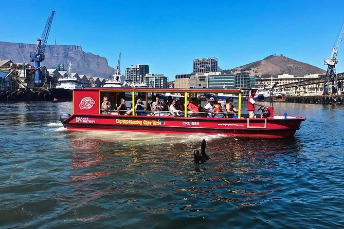 Cape Town 30-minute V&A Harbour Cruise - Meeting Point and Drop-off