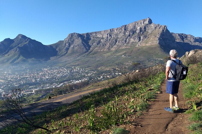 Cape Town: Lions Head Hike - Participant Requirements