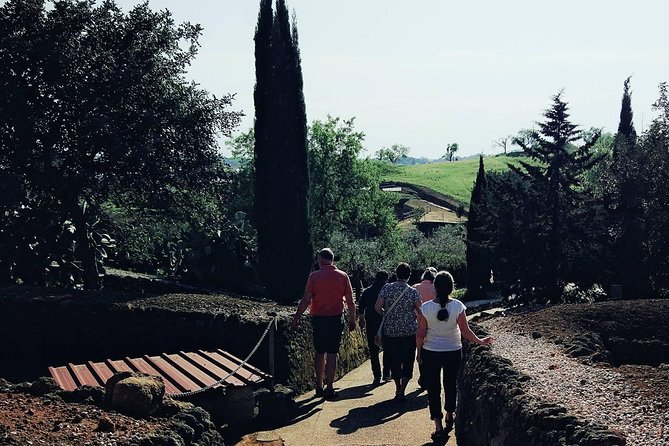 Carmona and Necropolis: Guided Day Tour From Seville - Group Size and Age Restrictions