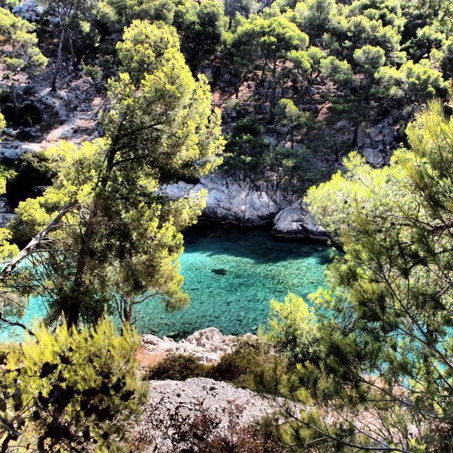 Cassis: Calanques National Park Sea Kayaking Tour - Kayaking Experience