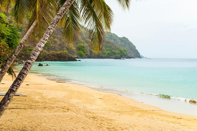 Castara Bay Day Trip With Lunch - Operational Hours