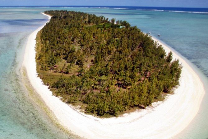 Catamaran Cruise to Ile Aux Bénitiers: Dolphin Watch, Crystal Rock & Transfer - Maximum Capacity and Accommodations