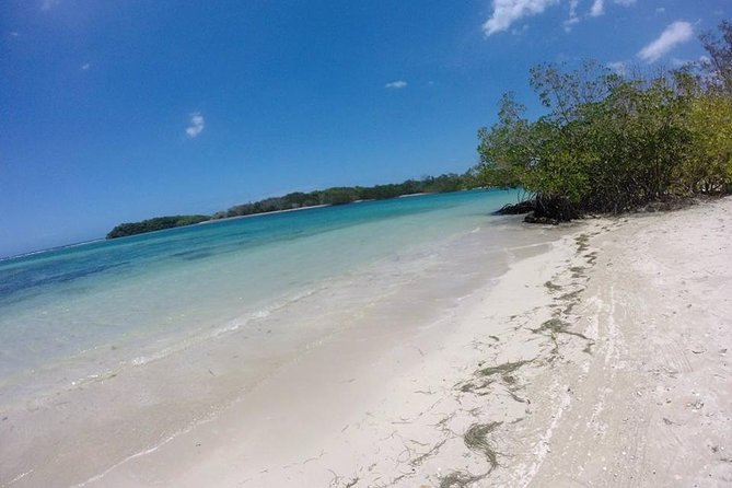 Cayo Arena, Paradise Island Tour - Snorkeling in Pristine Waters