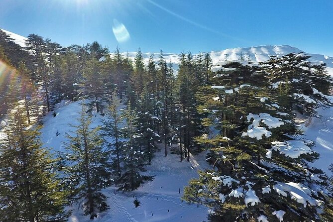 Cedars of Lebanon, Qozhaya, & Bcharre - With Lunch (4G on Board) - Activities