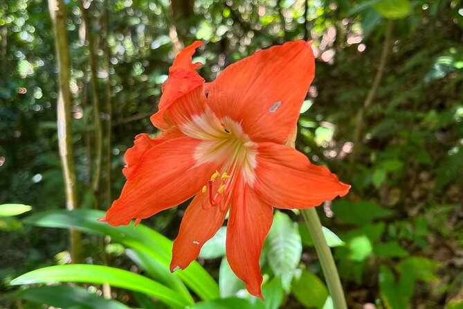 Central Mountain Range - Hiking, Waterfalls & Coffee Shop - Exploring the Private Nature Reserve