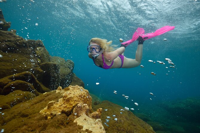 Champagne Reef, Bubble Beach and Scotts Head Snorkeling Tour by Boat in Dominica - Meeting and Pickup