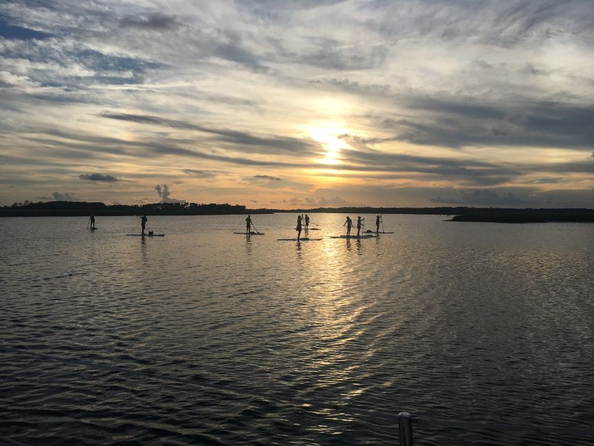 Charleston: Folly Beach Stand Up Paddleboard Dolphin Safari - Requirements and Recommendations