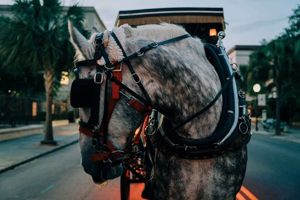 Charleston: Haunted Carriage Evening Tour - Booking Information